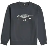 G-Star for man. D27095-D733-H392 Running dog back jumper grey (L), Casual, Cotton