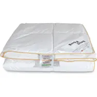 Borg Living Dobbel sommerdyne - 200x220 cm - 100% gåsedun - lett sommerdyne