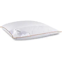 Borg Living Hodepute - Mellom 4-kammer moskusdun hodepute - 50x60 cm -