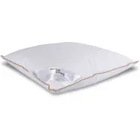 Borg Living Moskusdun hodepute - Høy - 60x63 cm - 3-kammer hodepute -