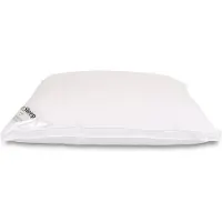 Zen Sleep Dunfiberpute - Allergivennlig hodepute - 50x70 cm - Mellom -