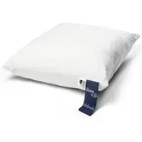 Nature By Borg Hodepute med ull - 3-kammers pute - 60x63 cm -