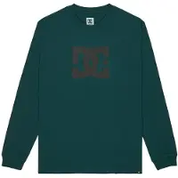 Dc-shoes Star Langermet T-skjorte grønn