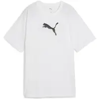 Puma Evostripe Graphic Relaxed Fit Kortarmet T-skjorte