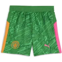 Puma Manchester City 25/26 Goalkeeper Shorts Youth, Clothing, Archive Green/Heat Fire, 15-16Y
