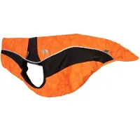 Back on track Tilbake på sporet Eddie Dog Sweater Orange