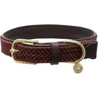 Kentucky Nylon Plaited Hundehalsbånd