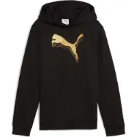 Puma Essentials Metallic Hoodie Youth, Back, Black/Metallic Gold, 11-12Y