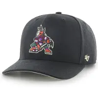 47 Nhl Arizona Coyotes Cold Zone Mvp Dp Cap