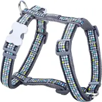 Red Dingo Modern On Cool Hundesele