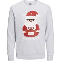 Jack & Jones Jortoon Collegegenser