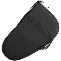 Carry All Pistol Case 10.5"