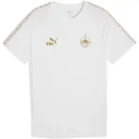 Puma FC Red Bull Salzburg KING Tee Men, Sport, White/Matte Gold, 3XL
