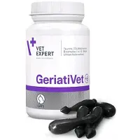 Vet Expert Geriativet Katt
