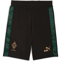 Puma Borussia Mönchengladbach KING Shorts Men, Sport, Black/Gold, XS