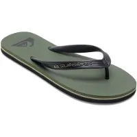 Quiksilver Molokai Core Flip-flops