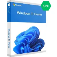 Microsoft Windows 11 Home - Bokspakke - 1 lisens - minnepinne - 64-bit - Svensk