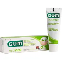 Gum Sunstar GUM D. GUM PASTA ACTIVITAL Q10 75ml6050