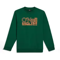 O'Neill Essentials Collegegenser