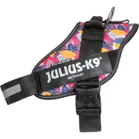 Julius-K9 Limited edition: IDC Powerharness, Leaf 2 - Størrelse XL/2: Brystomkrets 71 - 96 cm