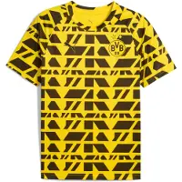 Puma Borussia Dortmund Pre-match Jersey Men, Sport, Faster Yellow/Black, XS