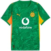 Puma Borussia Dortmund 25/26 Goalkeeper Short Sleeve Jersey Men, Sport, Archive Green/Intense Orange, XS