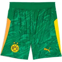 Puma Borussia Dortmund 25/26 Goalkeeper Shorts Men, Sport, Archive Green/Intense Orange, XS