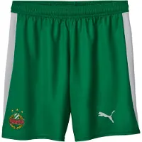 Puma SK Rapid Wien 25/26 Shorts Men, Sport, White/Sport Green, L