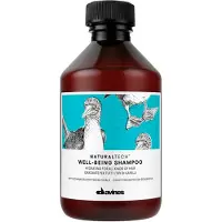 Davines Well-being 250ml Fuktighetsgivende Sjampo