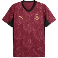 Puma Galatasaray SK 25/26 Third Jersey Men, Sport, Regal Red/Gold, XS