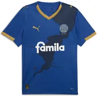 Puma Holstein Kiel 25/26 Home Jersey Men, Sport, Clyde Royal/Gold, XXL
