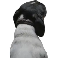 Dyon Plaited Hundehalsbånd