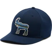 Columbia Lost Lager Cap