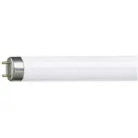 Bellight Lysrør T8 3250lm 36W/865 G13, 1200mm
