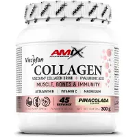 Amix Viscofan 300g Kollagen Piña Colada
