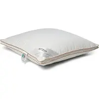 Borg Living Hovedpute med moskusdun - Mellom pute - 60x63 cm - 3-kammers dunpute - Årspuden 2025