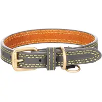 Flamingo Virginia Hundehalsbånd