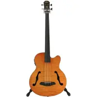Aria FEB F2/FL Acoustic Bass Flame Nato Natural