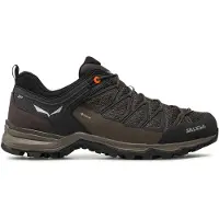 Salewa Mtn Trainer Lite Goretex Tilnærmingssko