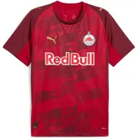 Puma FC Red Bull Salzburg 25/26 Third Jersey Men, Sport, Dark Cherry/Metallic Gold, 3XL
