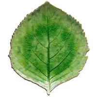 Costa Nova Plate hydrangea Riviera 22 x 19 cm Green/Black Ceramic