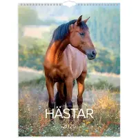 Adlibris Väggkalender 2026 Stora Hästkalendern 295x390 mm Burde