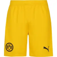 Puma Borussia Dortmund 25/26 Shorts Men, Sport, Yellow Sizzle, XXL