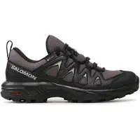 Salomon X Braze Goretex Tursko