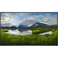 Dell P2425HE - Uten stativ - LED-skjerm - 24" (23.81" synlig) - 1920 x 1080 Full HD (1080p) @ 100 Hz - IPS - 250 cd/m² - 1500:1 - 5 ms - HDMI, Disp...
