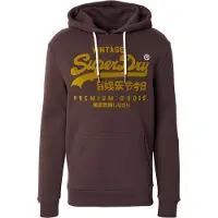Superdry for man. M2014024A Relaxed Tonal brown sweatshirt (M), Casual, Cotton