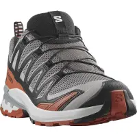 Salomon XA Pro 3D V9, Trailsko, Herre, Castlerock/Black/Burnt Ochre