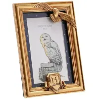 Harry Potter Widdop & Co. Harry Potter Hedwig 18cm Fotoramme