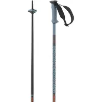 Salomon Polar Pro Spaserstokker