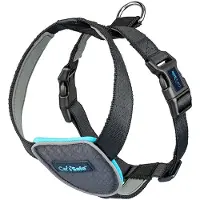 Company of animals Carsafe Travel Dog Hundesele